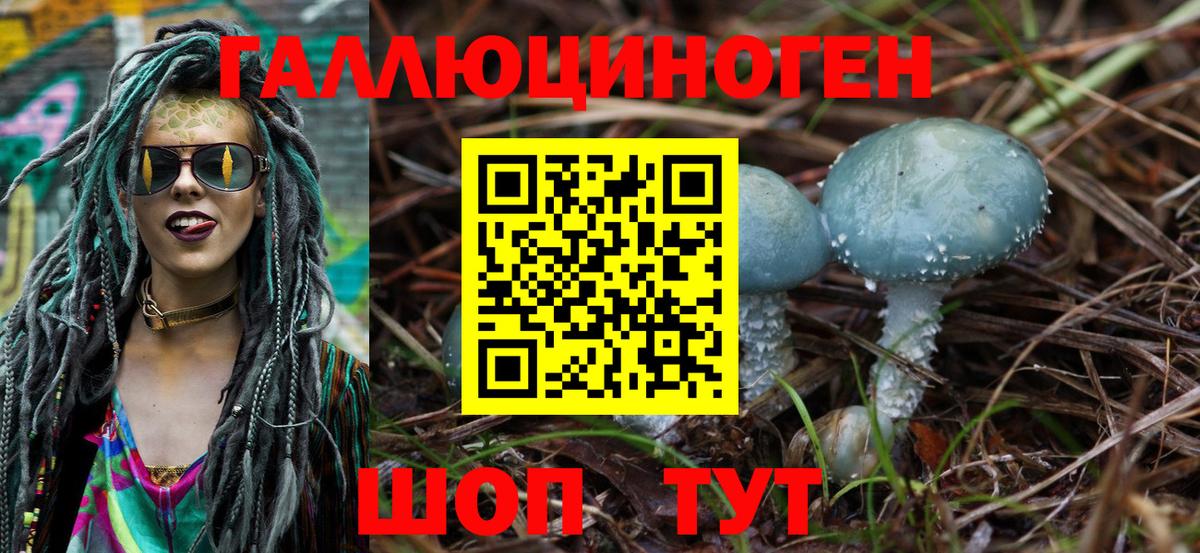 где купить наркотик  Псилоцибиновые грибы Psilocybe  Вход с VPN  Майкоп 