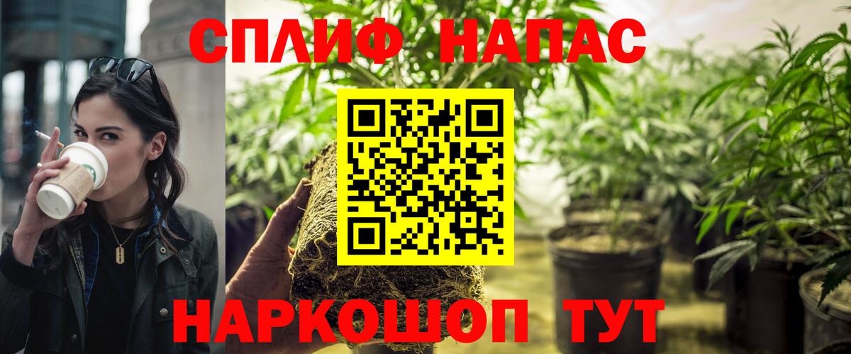 Бошки марихуана Amnesia Майкоп